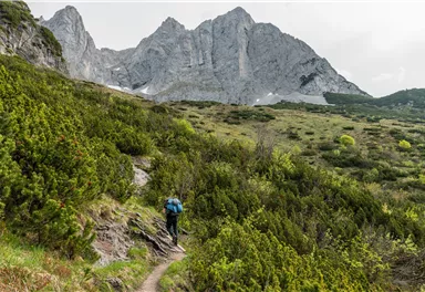 wilder_kaiser_sommer2025_klettern_msl_pfiffkas_manuel_bialucha_13.jpg