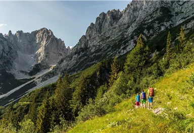 Going_Much-Wieser-Steig-Wilder Kaiser