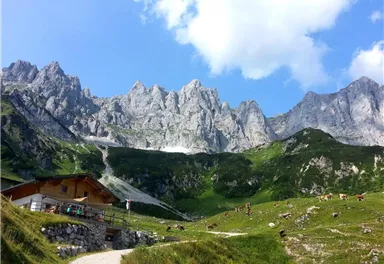 Going_Obere Regalm_Wilder Kaiser