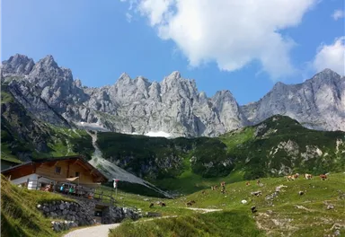 Going_Obere Regalm_Wilder Kaiser