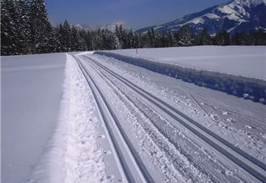 Römerhof-Rundweg