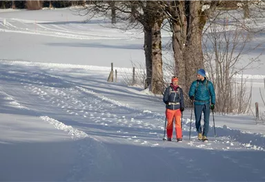 Going_Winterwandern_Aktive Erholung_Winter 2020_Frank Stolle (14)_1920px.jpg
