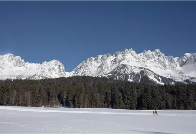 Going_Winterwandern_Aktive Erholung_Winter 2020_Frank Stolle (7)_1920px.jpg