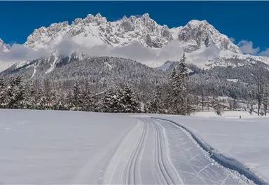 Going_Loipe_Winter2015_Martin_Raffeiner (17).jpg