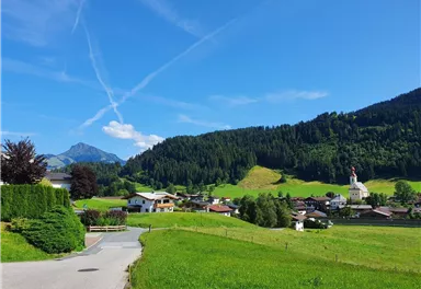 Going_Schwendterweg_Sommer2021_Mario Zebenholzer.jpg