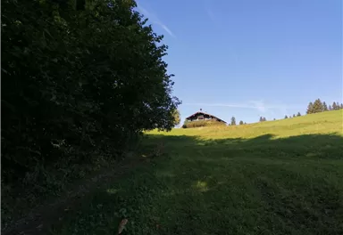 Going_Wandern_Hollenauer Kreuz Runde_Weg Nr6_Wilder Kaiser