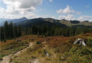 Going_Wandern_Rauher_Kopf_Weg_Nr9_Sommer2021_Daniela_Pfeiler (1).jpg