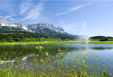 Golfplatz