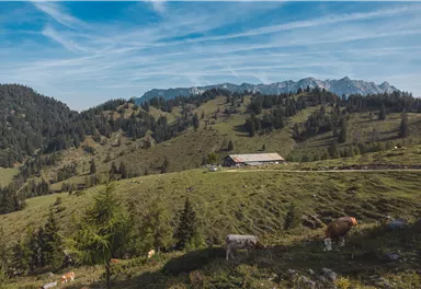 Kaisergebirge_Kaindlhütte_02-(c)TVB-Kufsteinerland_Mathaeus-Gartner.jpg