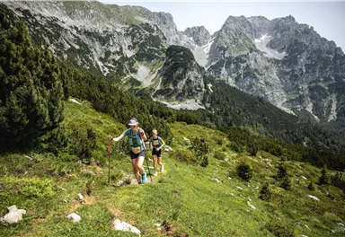 Kaiserkrone Trail_Scheffau_Medium 