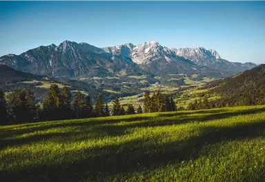 Panorama_Frühling_Sommer_Wilder Kaiser