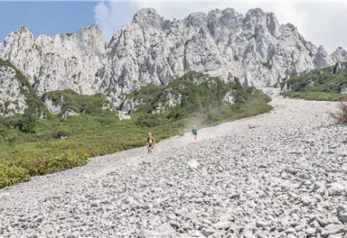 Scheffau_Abstieg Tuxeck_Wilder Kaiser