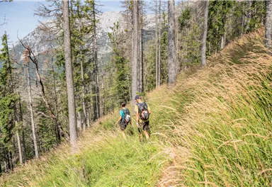 Scheffau_Abstieg Tuxeck_Wilder Kaiser
