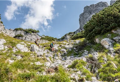 Scheffau_Abstieg Tuxeck_Wilder Kaiser