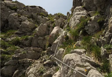 Scheffau_Aufstieg Scheffauer_Wasserloch_Wilder Kaiser