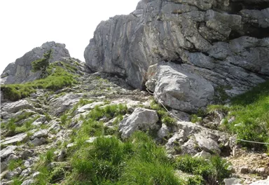 Scheffau_Aufstieg Scheffauer_Wasserloch_Wilder Kaiser