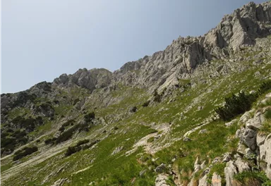 Scheffau_Aufstieg Scheffauer_Wilder Kaiser