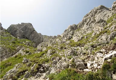 Scheffau_Aufstieg Scheffauer_Wilder Kaiser