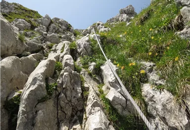 Scheffau_Aufstieg Scheffauer_Wilder Kaiser