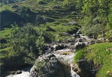Scheffau_Bach_Richtung Kaiseralm_Wilder Kaiser