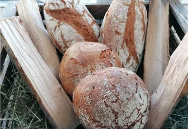 Scheffau_Bärnstatthof_Marktplatz_Wilder Kaiser