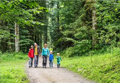 Familie Wandern_Scheffau_Foto von Felbert_Reiter (2)