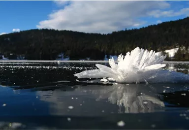 Eiskristall am Hintersteiner See_Scheffau_TVB Wilder kaiser.jpg