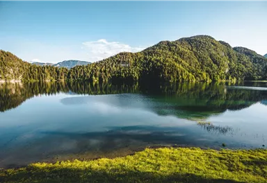 Scheffau_Hintersteiner See_Frühling_Sommer_Wilder Kaiser