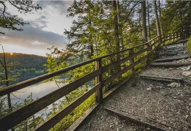 Scheffau_Hintersteiner See_Waldweg_Stufen_Sommer