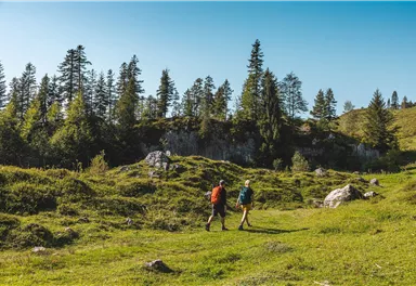 Scheffau_Jägersteig_Walleralm_Wilder Kaiser