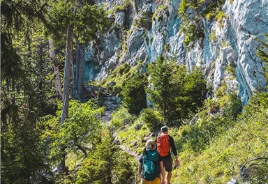 Scheffau_Jägersteig_Wilder Kaiser