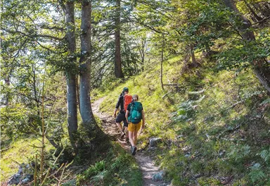 Scheffau_Jägersteig_Wilder Kaiser