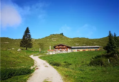 Scheffau_Kafma Alm_Sommer_Wilder Kaiser