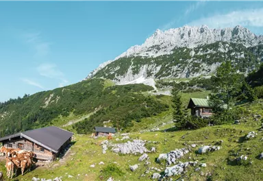 Scheffau_Kaiser-Hochalm_Wilder Kaiser