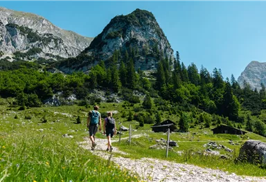Scheffau_Kaiser-Hochalm_Wilder Kaiser