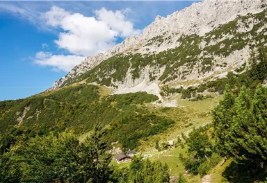 Scheffau_Kaiser-Hochalm_Wilder Kaiser