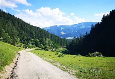 Scheffau_Kaiseralm-Runde_Wilder Kaiser
