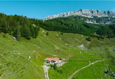 Scheffau_Kaiseralm_Wilder Kaiser