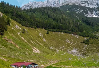 Scheffau_Kaiseralm_Wilder Kaiser