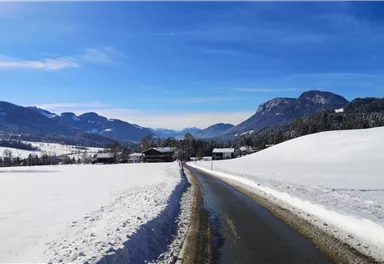 Scheffau_Kaiserblick-Winterrunde_Sonnwies_Richtung Söll_Wilder Kaiser