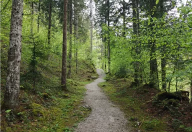 Scheffau_Kneipprundweg_Wilder Kaiser