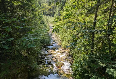 Scheffau_Kneippweg_Sommer_2024 (9).jpg