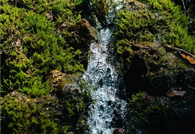Scheffau_Rehbachklamm_Wilder Kaiser