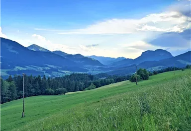 Scheffau_Schießling_Ansicht nach Söll