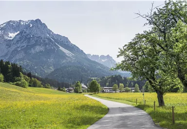 Scheffau Sommer