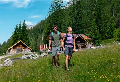 Scheffau_Steiner-Hochalm_Wilder Kaiser