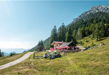 Scheffau_Steiner-Hochalm_Wilder Kaiser