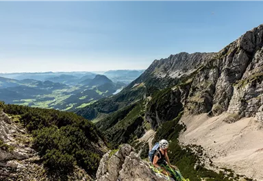 Scheffau_Treffauer_König der Löwen_Wilder Kaiser
