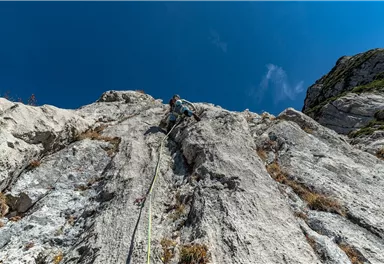 Scheffau_Treffauer_RWI_Wilder Kaiser