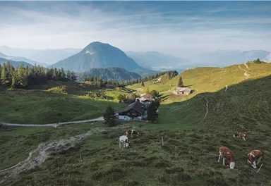 Scheffau_Walleralm_Wilder Kaiser